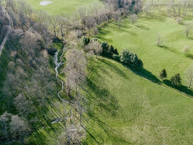 7541 Township Road 462, Loudonville, OH 44842 Photo 19