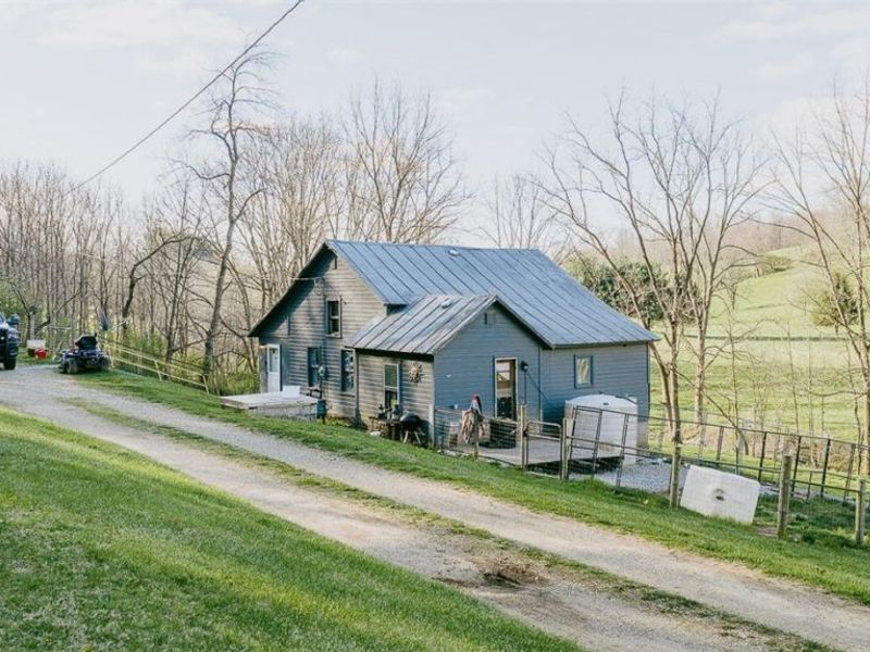 7541 Township Road 462, Loudonville, OH 44842 Photo 2