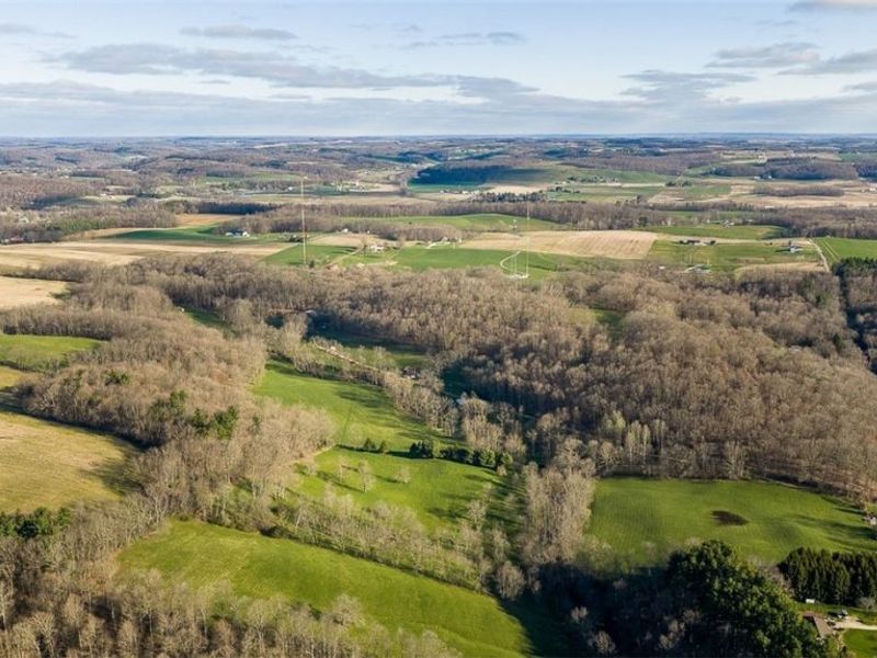 7541 Township Road 462, Loudonville, OH 44842 Photo 23