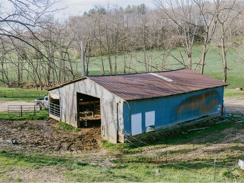 7541 Township Road 462, Loudonville, OH 44842 Photo 25