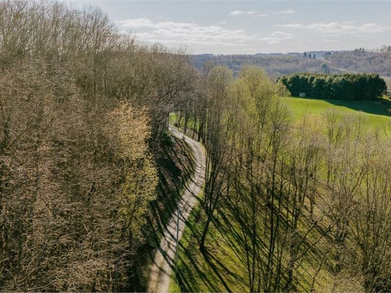 7541 Township Road 462, Loudonville, OH 44842 Photo 6