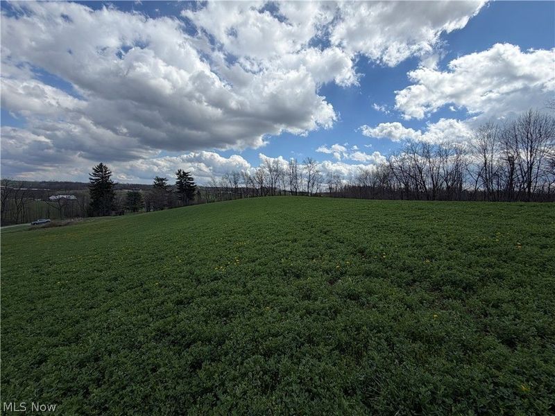 Township Road 177, Baltic, OH 43804 Photo 10