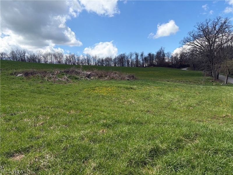 Township Road 177, Baltic, OH 43804 Photo 2