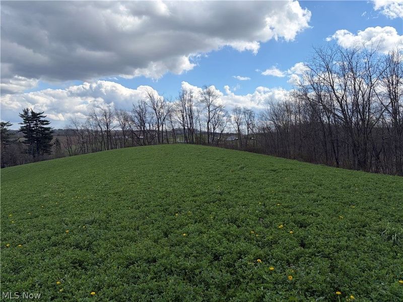 Township Road 177, Baltic, OH 43804 Photo 5