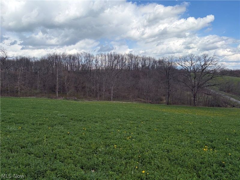 Township Road 177, Baltic, OH 43804 Photo 6