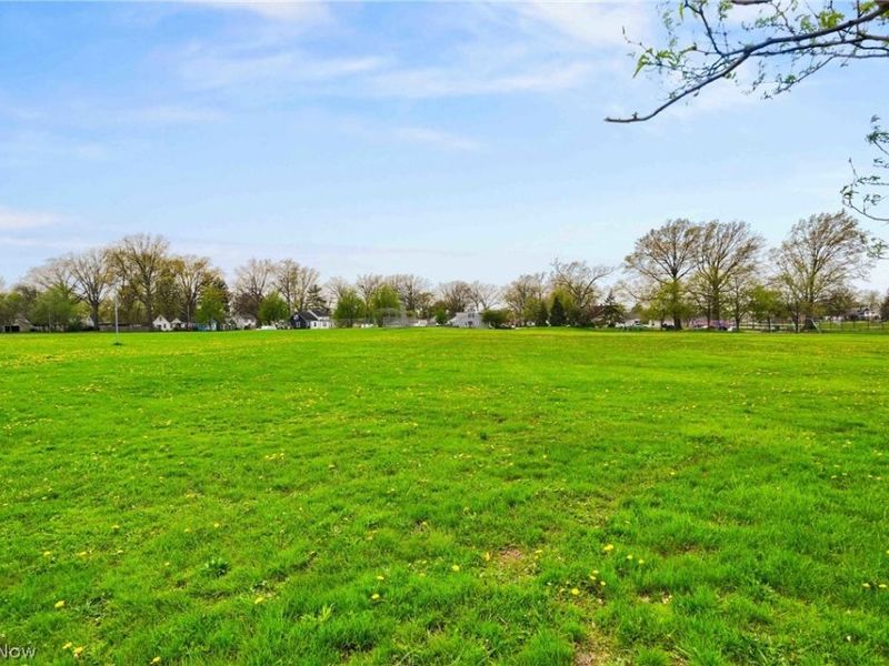 3124 W 142nd Street, Cleveland, OH 44111 Photo 24