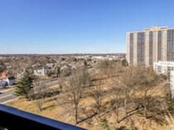 5505 SEMINARY ROAD, Unit 914N, FALLS CHURCH, VA 22041