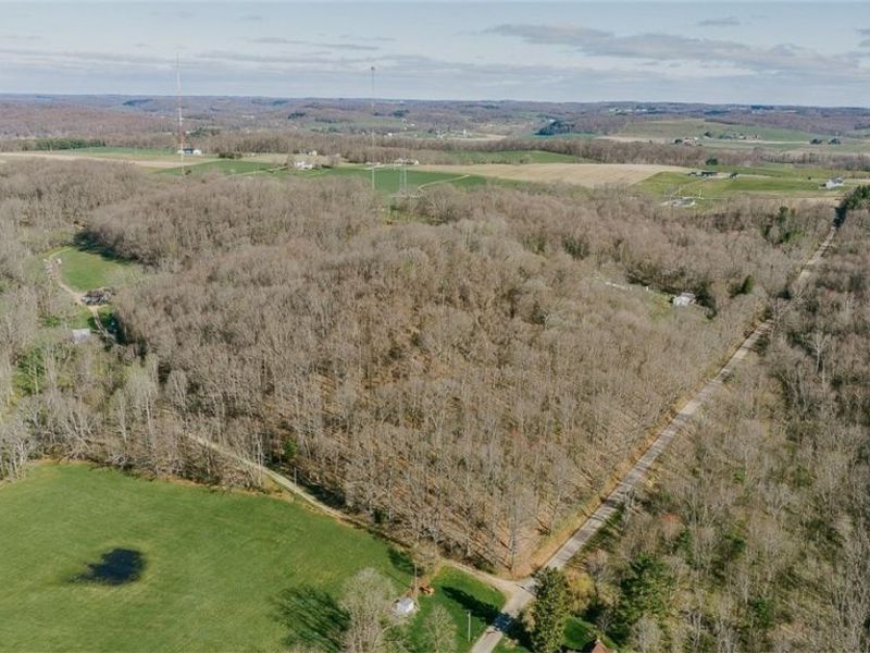 7641 Township Road 462 , Loudonville, OH 44842 Photo 1