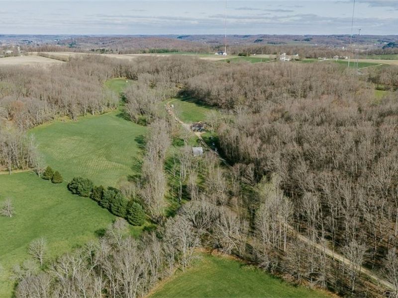 7641 Township Road 462 , Loudonville, OH 44842 Photo 2