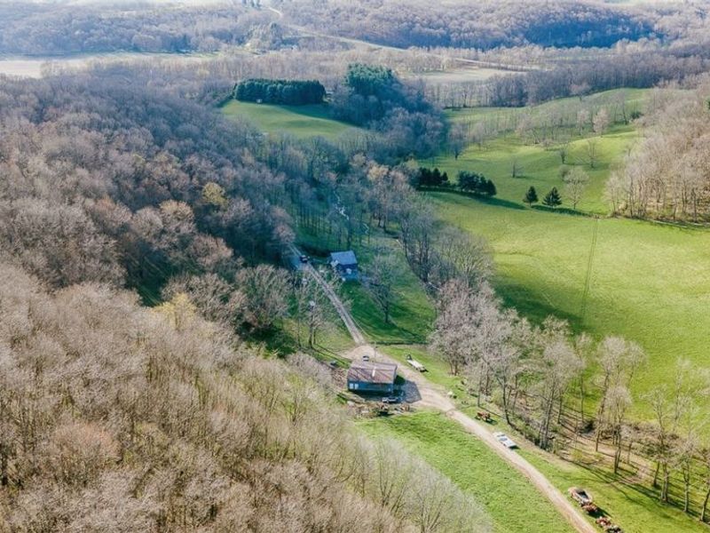 7641 Township Road 462 , Loudonville, OH 44842 Photo 9