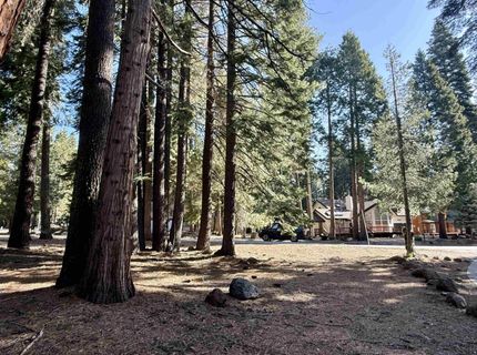 731 Conifer Trail, Lake Almanor, CA 96137 Photo