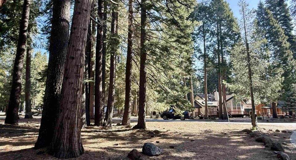 731 Conifer Trail, Lake Almanor, CA 96137 Photo