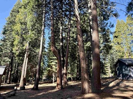 731 Conifer Trail, Lake Almanor, CA 96137 Photo