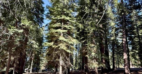 731 Conifer Trail, Lake Almanor, CA 96137 Photo
