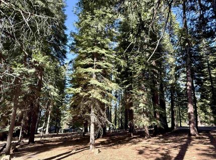 731 Conifer Trail, Lake Almanor, CA 96137 Photo