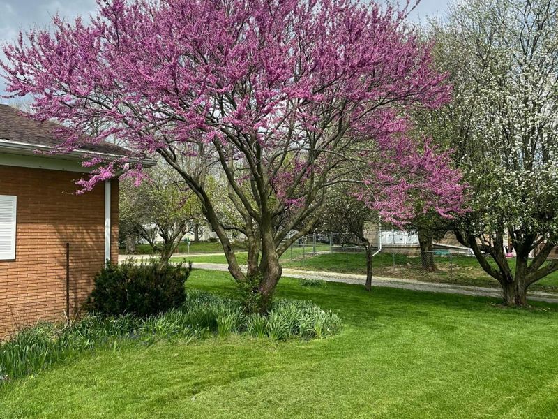 321 State Street , Edison, OH 43320 Photo 25