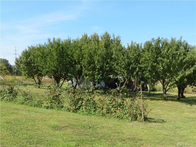 748 Inlow Avenue, Peebles, OH 45660 Photo 37