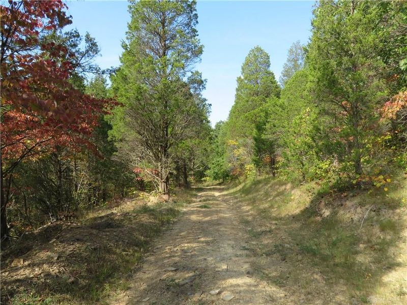 748 Inlow Avenue, Peebles, OH 45660 Photo 48