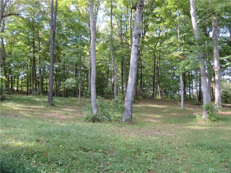 748 Inlow Avenue, Peebles, OH 45660 Photo 58