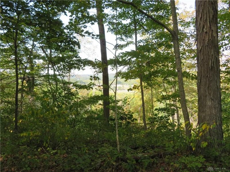 748 Inlow Avenue, Peebles, OH 45660 Photo 59