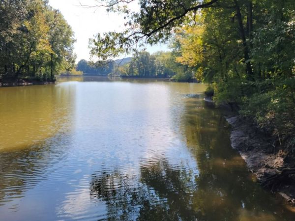 0 Shirley Bates Road, Clifton, TN 38425