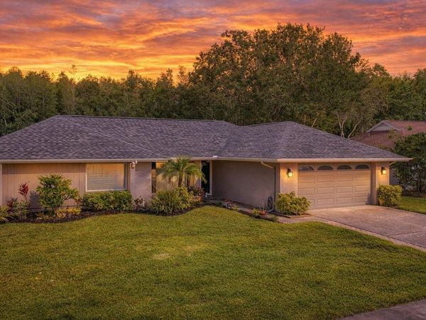 15110 NATUREWALK DRIVE , TAMPA, FL 33624