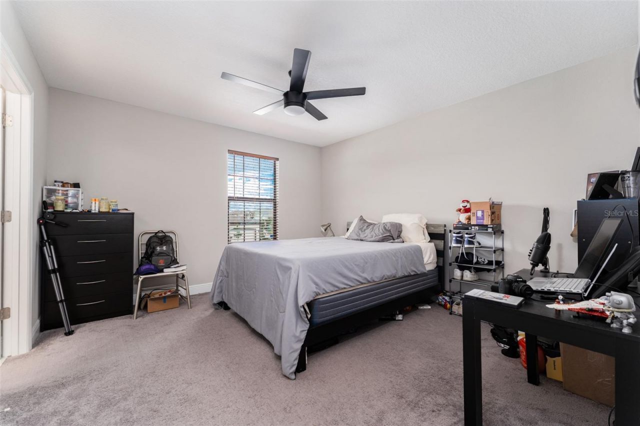14403 Woodland Spur Dr, Lithia, FL 33547 Photo