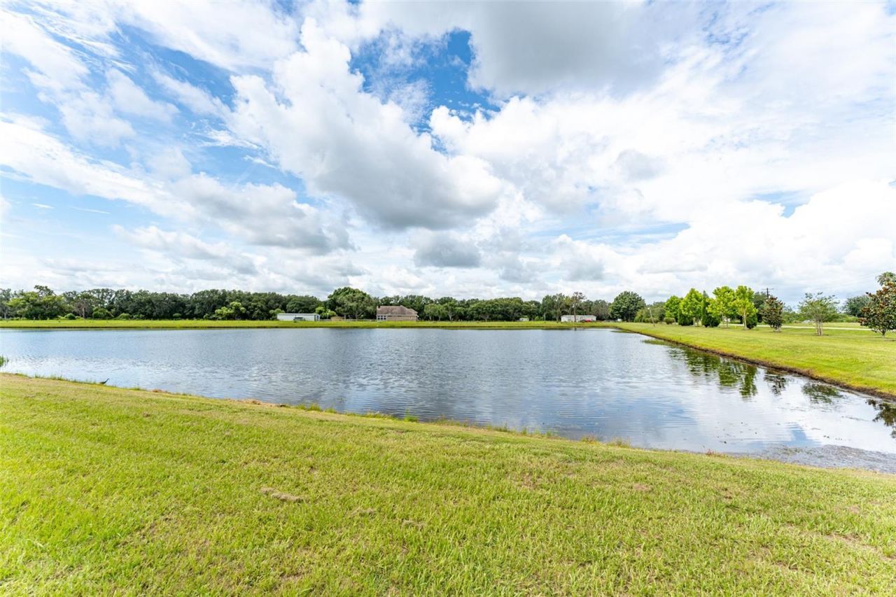 14403 Woodland Spur Dr, Lithia, FL 33547 Photo