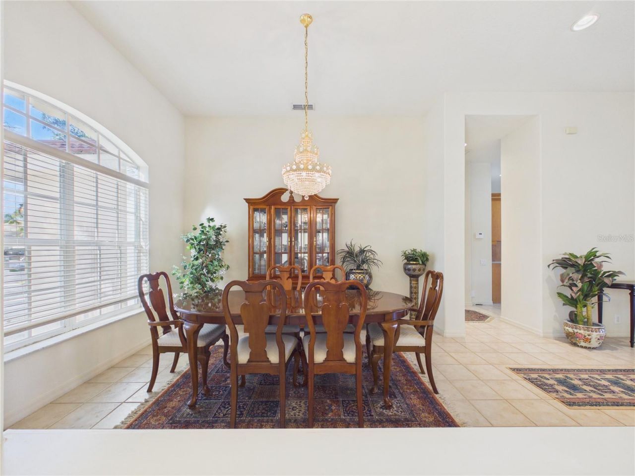 10207 Estuary Drive, Tampa, FL 33647 Photo
