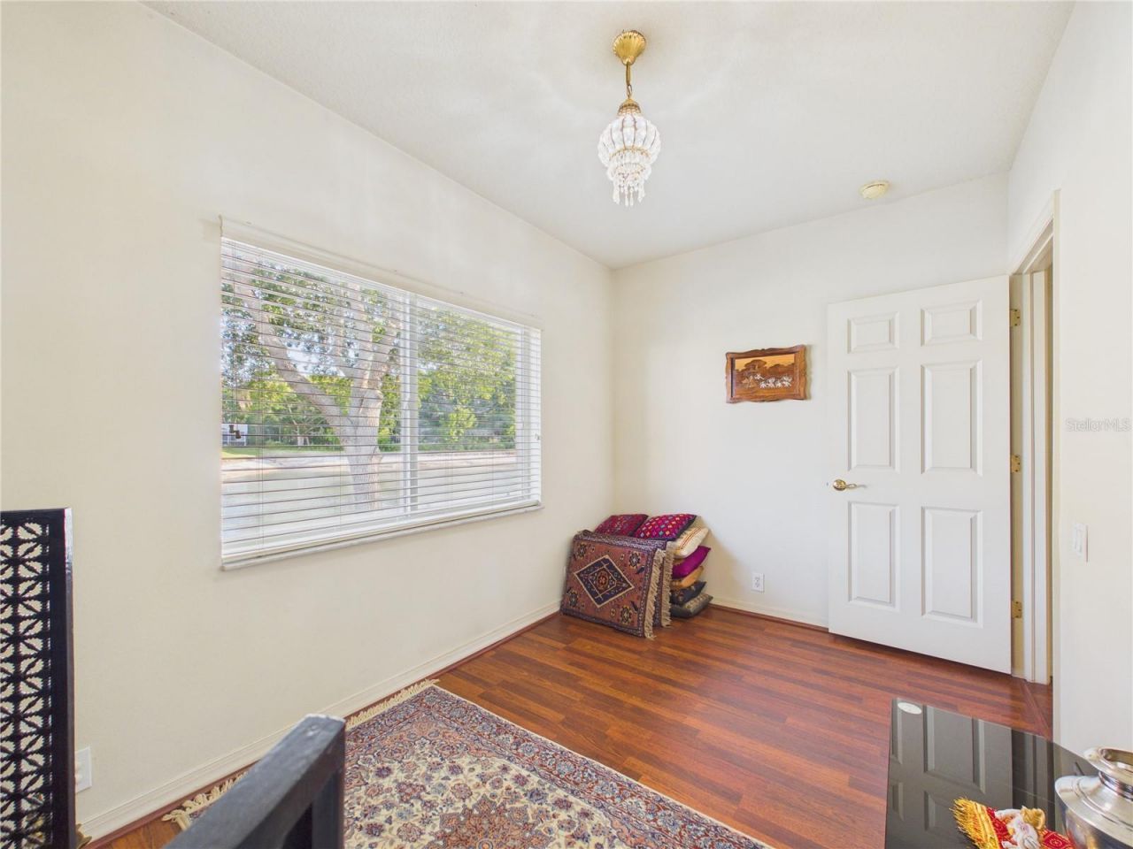 10207 Estuary Drive, Tampa, FL 33647 Photo
