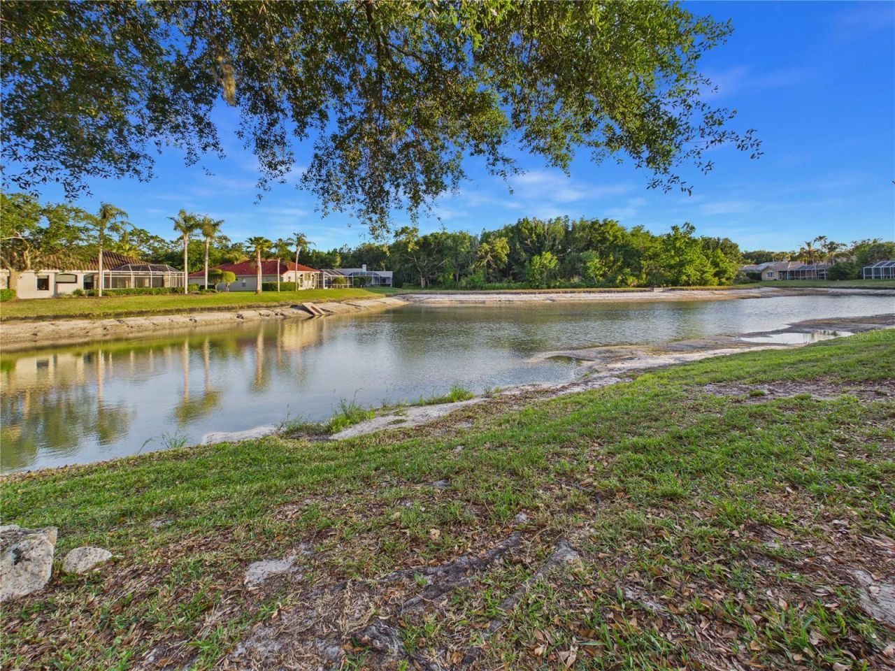10207 Estuary Drive, Tampa, FL 33647 Photo