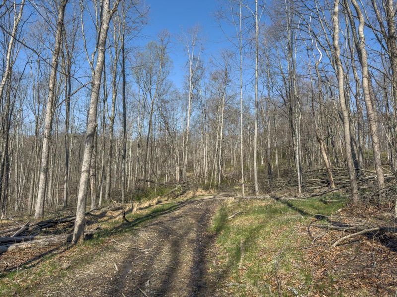 0 Cox Road , Logan, OH 43138 Photo 16