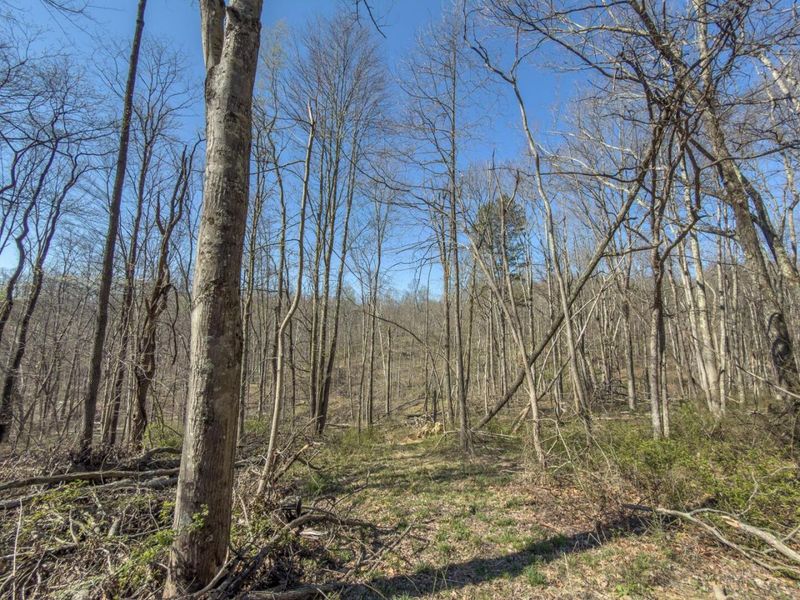 0 Cox Road , Logan, OH 43138 Photo 19