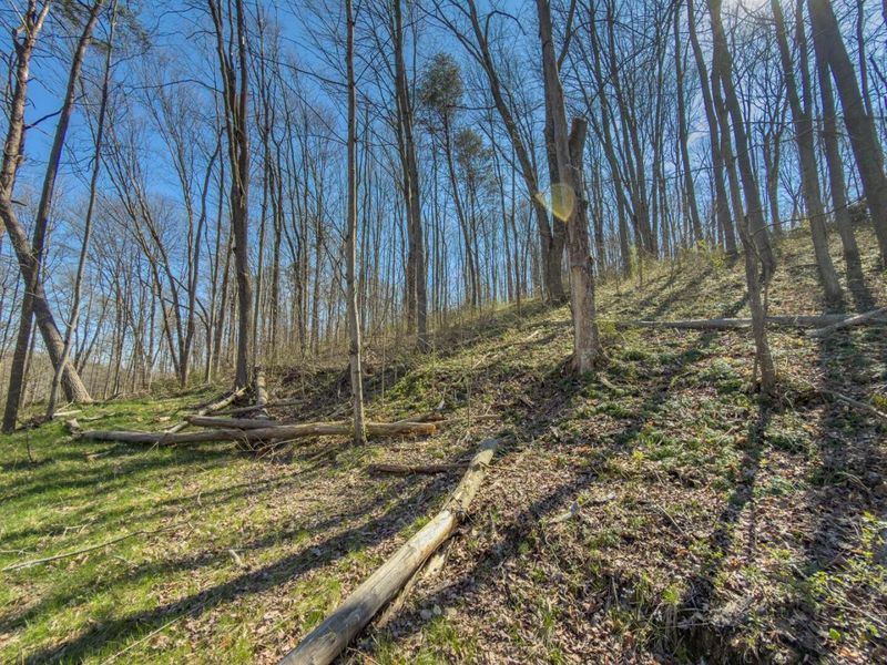 0 Cox Road , Logan, OH 43138 Photo 28