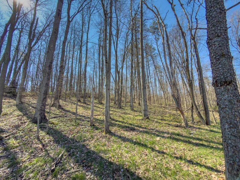 0 Cox Road , Logan, OH 43138 Photo 30