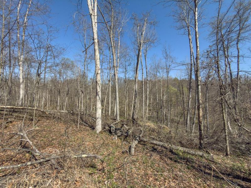 0 Cox Road , Logan, OH 43138 Photo 31