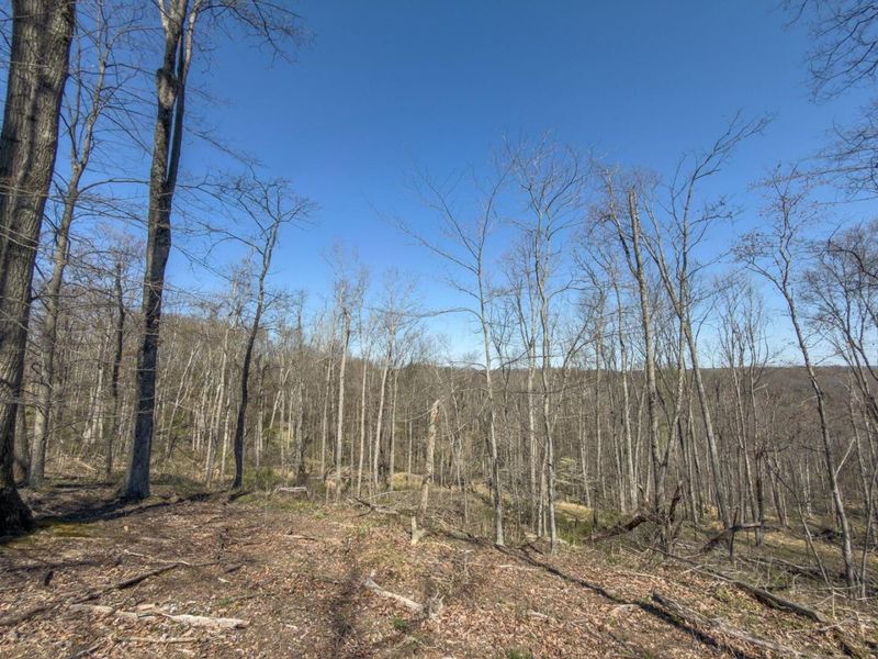 0 Cox Road , Logan, OH 43138 Photo 34