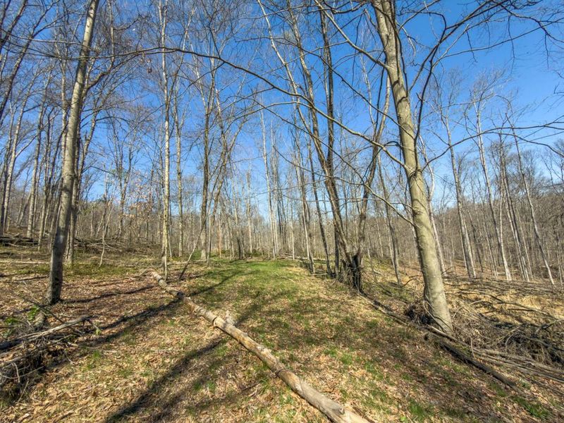 0 Cox Road , Logan, OH 43138 Photo 38