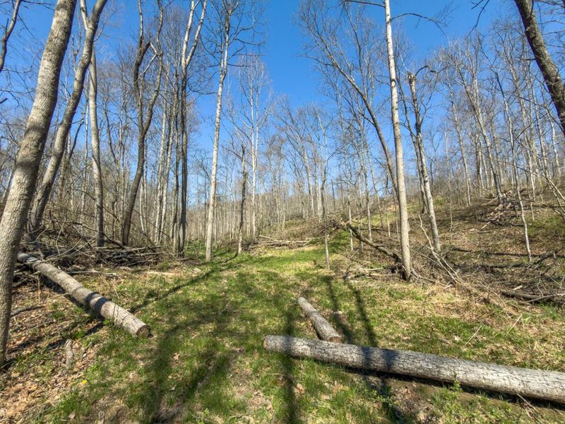 0 Cox Road , Logan, OH 43138 Photo 42