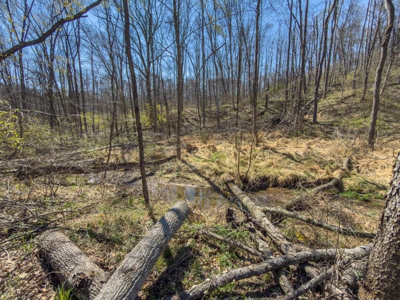 0 Cox Road , Logan, OH 43138 Photo 43