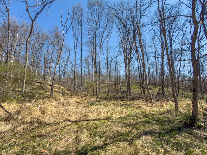 0 Cox Road , Logan, OH 43138 Photo 44