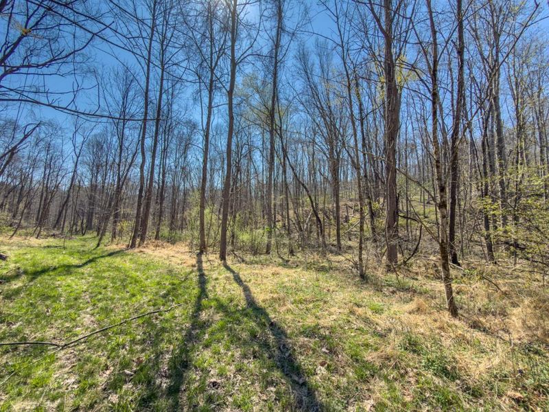 0 Cox Road , Logan, OH 43138 Photo 46