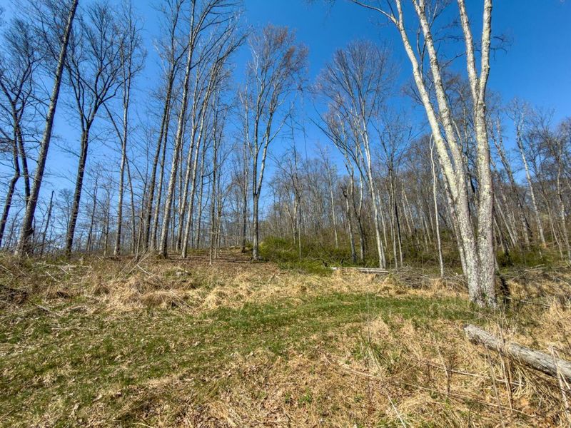 0 Cox Road , Logan, OH 43138 Photo 47