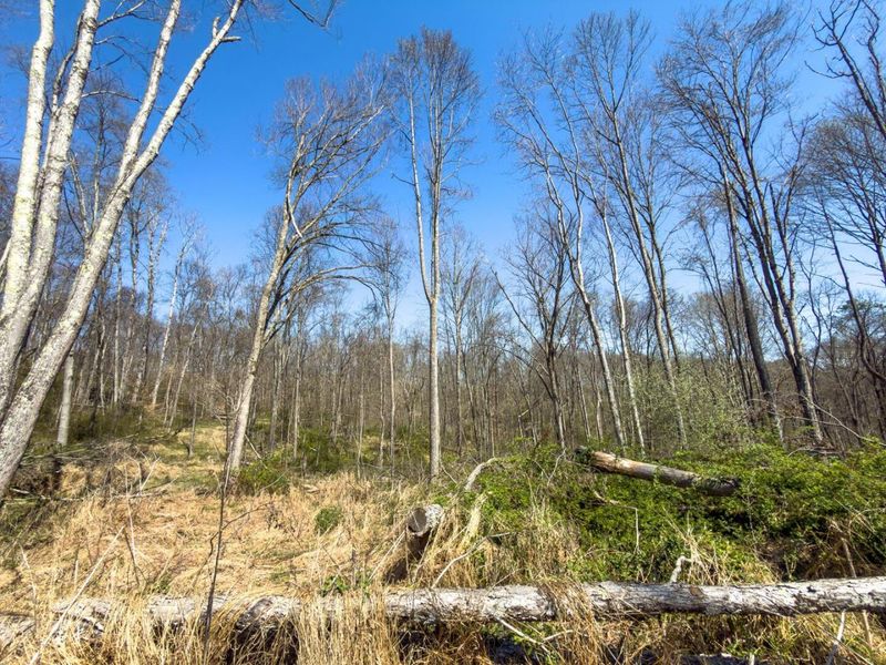 0 Cox Road , Logan, OH 43138 Photo 48