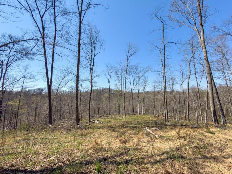 0 Cox Road , Logan, OH 43138 Photo 50