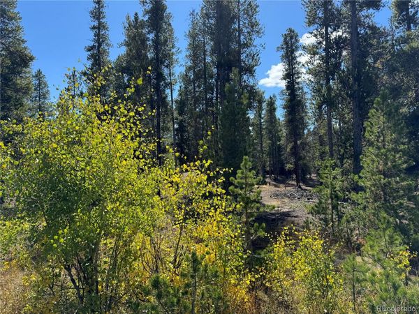 517 Augusta Drive , Leadville, CO 80461