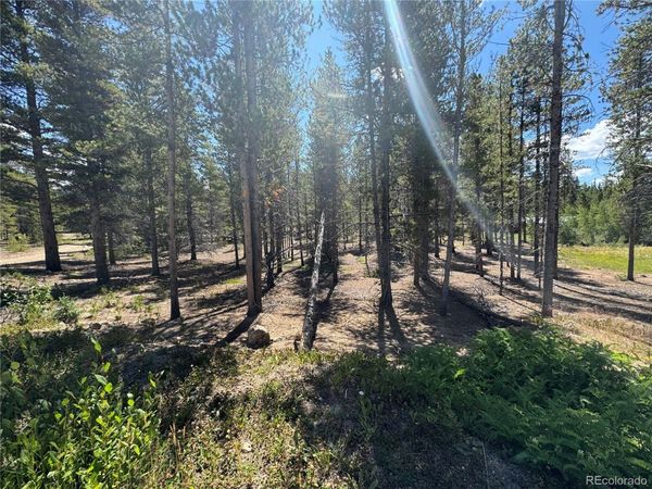 334 Baby Doe Drive , Leadville, CO 80461