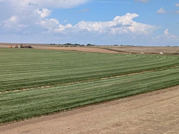 23500 CR 5 , Rush, CO 80833