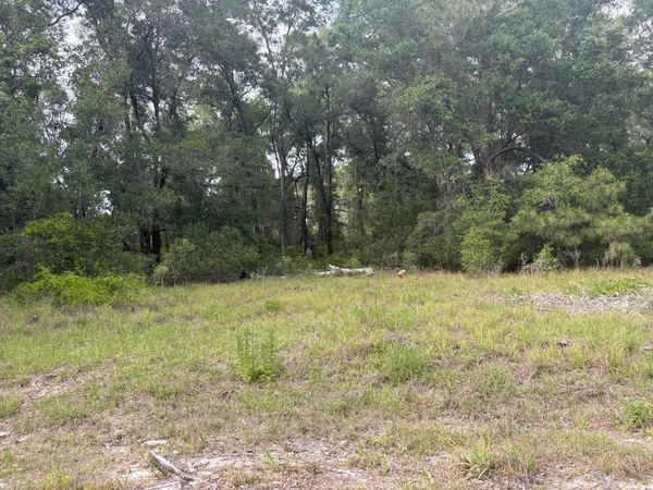 Tbd Locust Drive Court, Ocala, FL 34483
