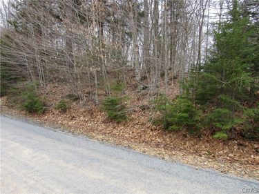 Palisades Road , Old Forge, NY 13420